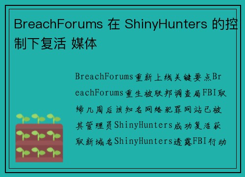 BreachForums 在 ShinyHunters 的控制下复活 媒体